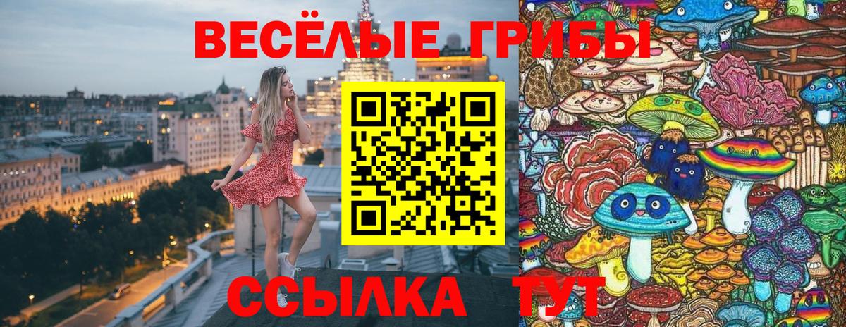 Майкоп  Псилоцибиновые грибы мицелий  Вход с VPN 