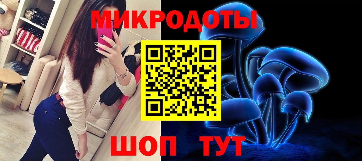 Псилоцибиновые грибы мицелий Майкоп
